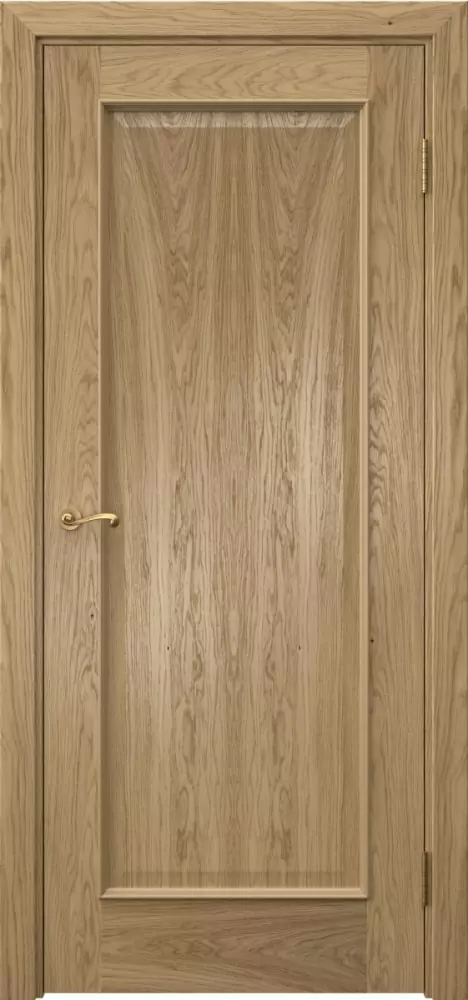 Межкомнатная дверь ПГ ACT 1.1