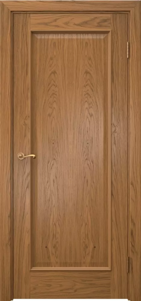 Межкомнатная дверь ПГ ACT 1.1