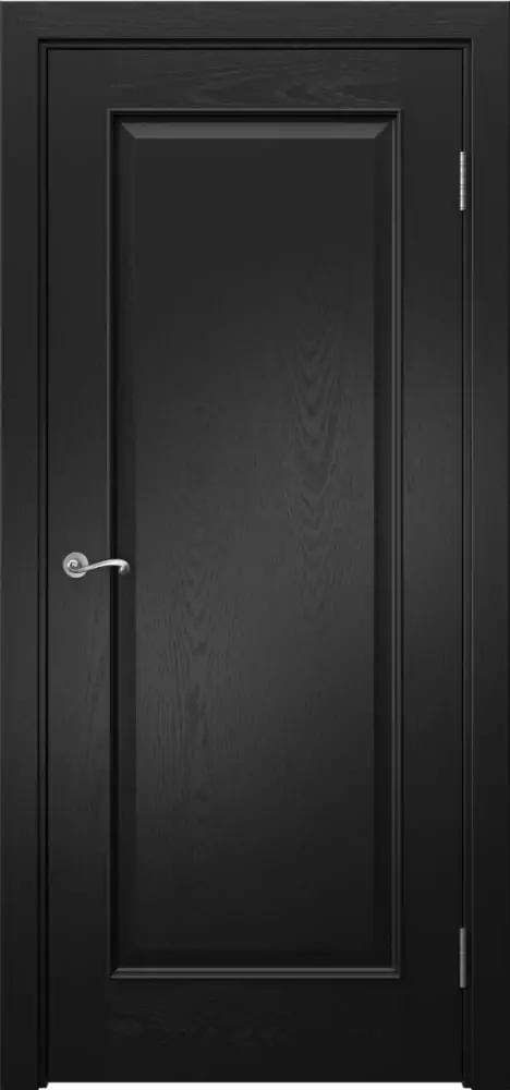 Межкомнатная дверь ПГ ACT 1.1