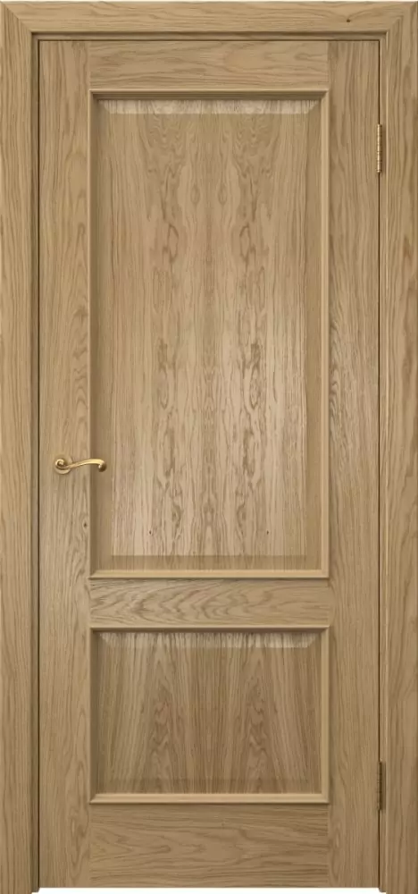 Межкомнатная дверь ПГ ACT 1.2