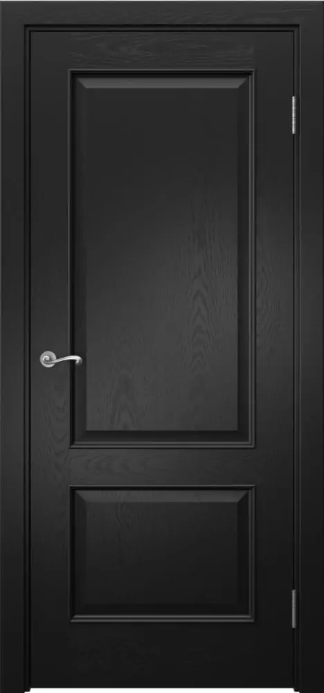 Межкомнатная дверь ПГ ACT 1.2