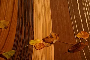 Шпон Fine-Line Шпон Fine-Line