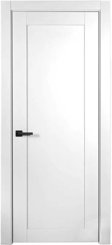 Дверь социального назначения ПГ Dalia