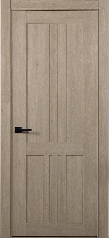 Дверь социального назначения ПГ Vittoria