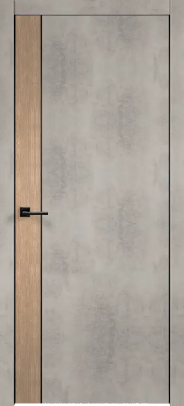 Межкомнатная дверь ПГ TECHNO BLACK DUO 1