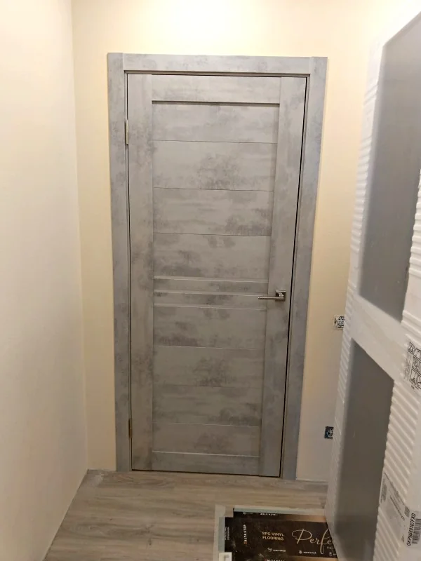 Family Doors: Smart NX-1