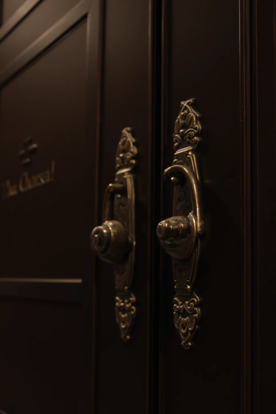 Виды дверных ручек