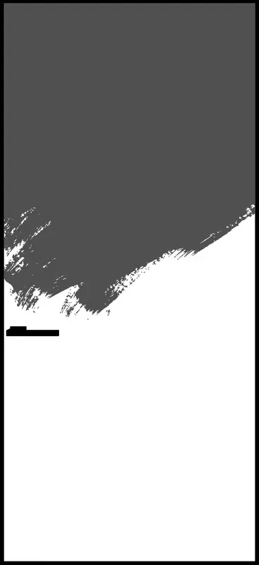 INVISIBLE 0 PI Reverse (черная)