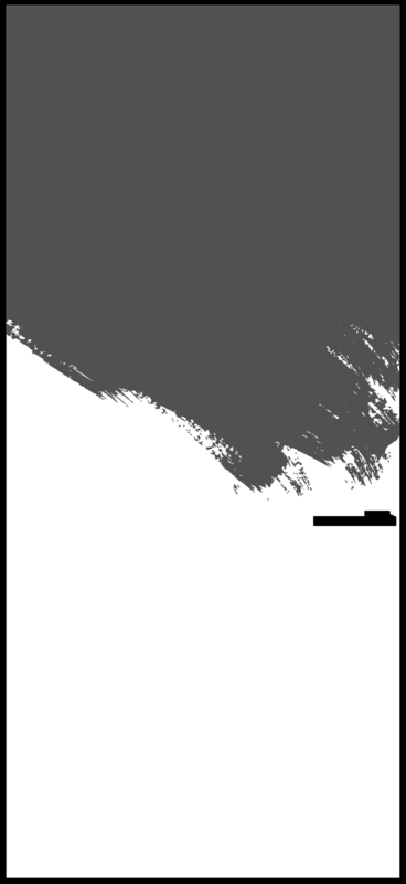 INVISIBLE 0 PI (черная)