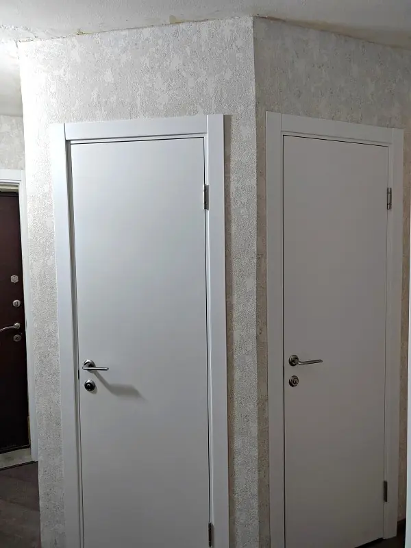 Современные двери: ПГ ДПГ