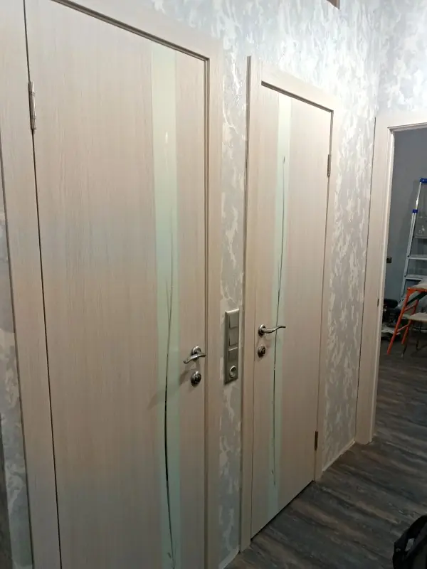 Velldoris: ПО SMART Z1